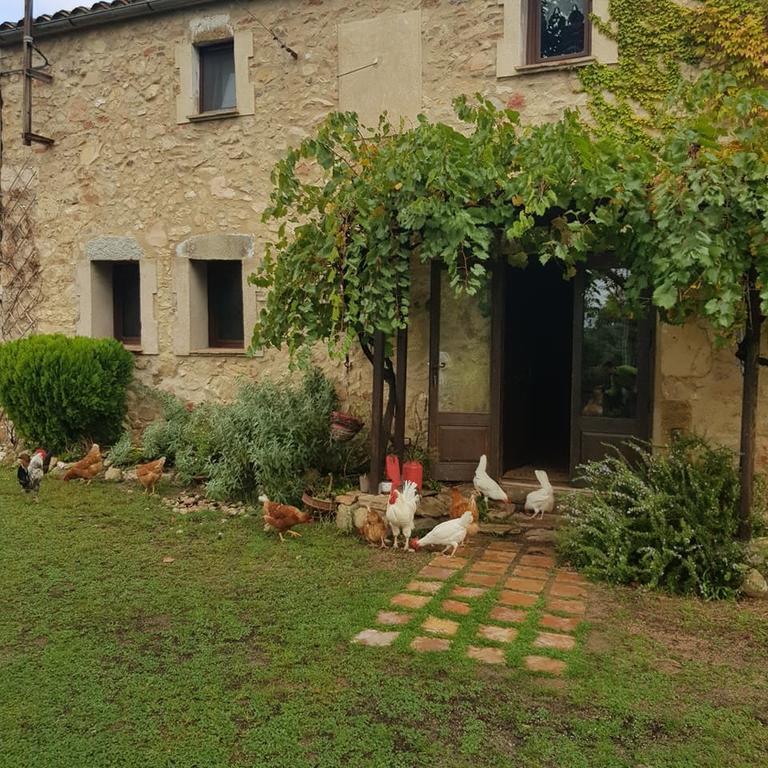 Can Canaleta Hotel Rural Санта-Кулома-да-Фарнес Екстер'єр фото